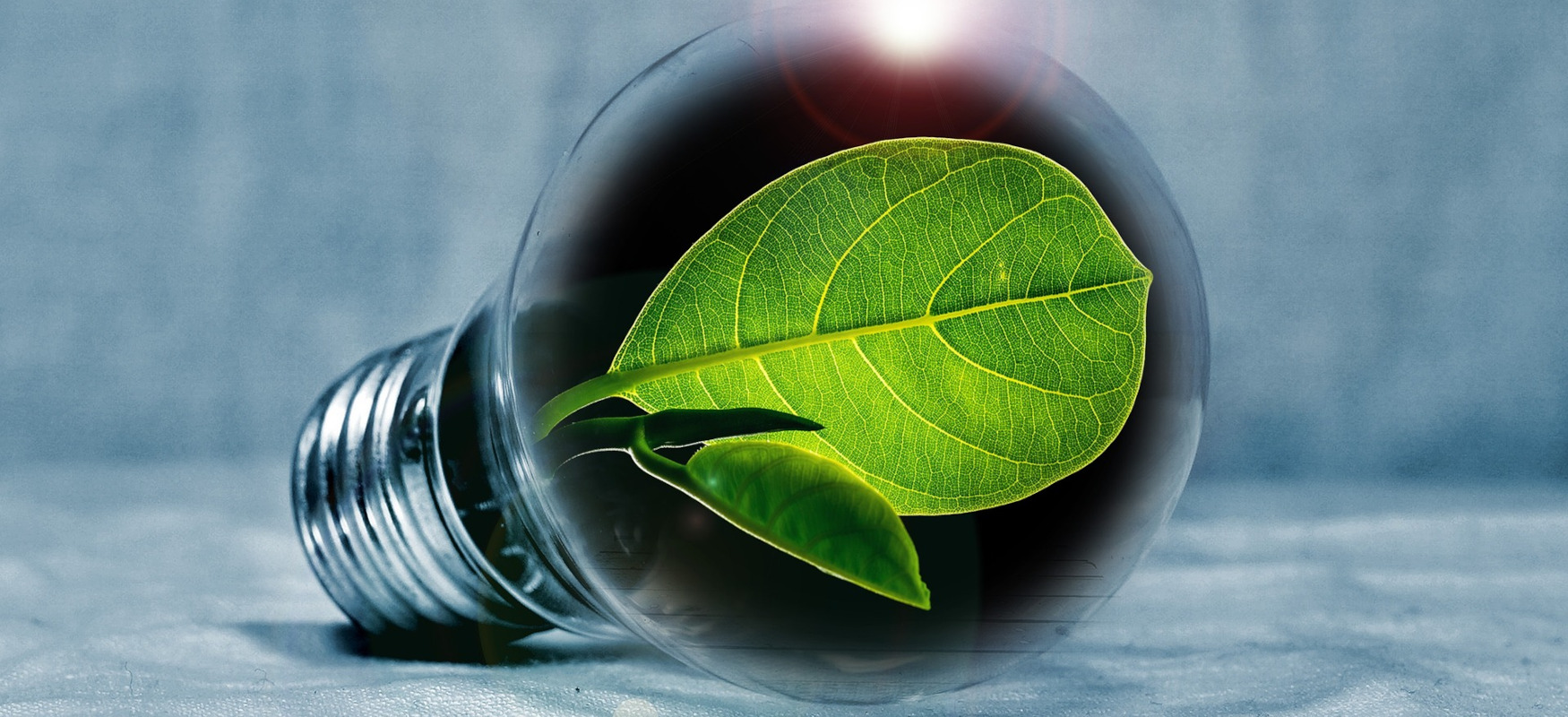 EPC Legislation Changes